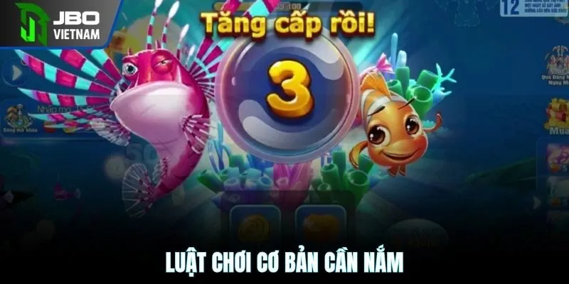 Các vòng chơi đặc biệt mang đến cơ hội nhận thưởng cao hơn và trải nghiệm phong phú