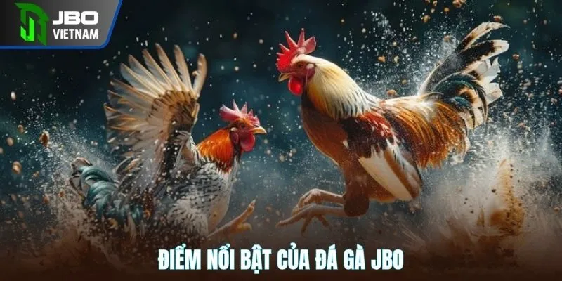 Điểm nổi bật hút khách