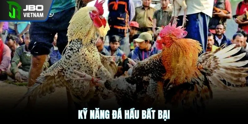 Kỹ năng đá hầu bất bại